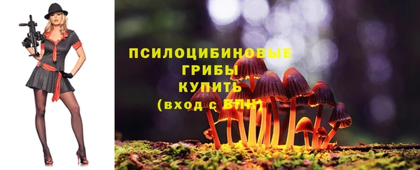 гашишное масло Гусиноозёрск