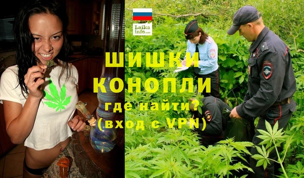 дурь Гусь-Хрустальный