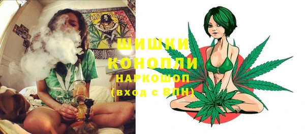 дурь Гусь-Хрустальный
