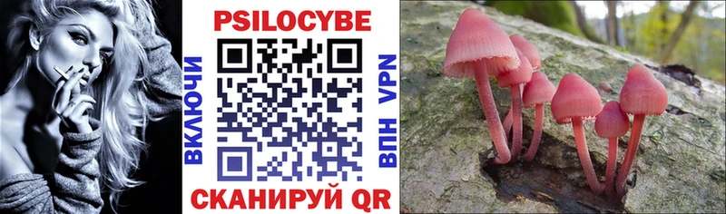 Купить закладки  Райчихинск  Псилоцибиновые грибы Psilocybine cubensis 